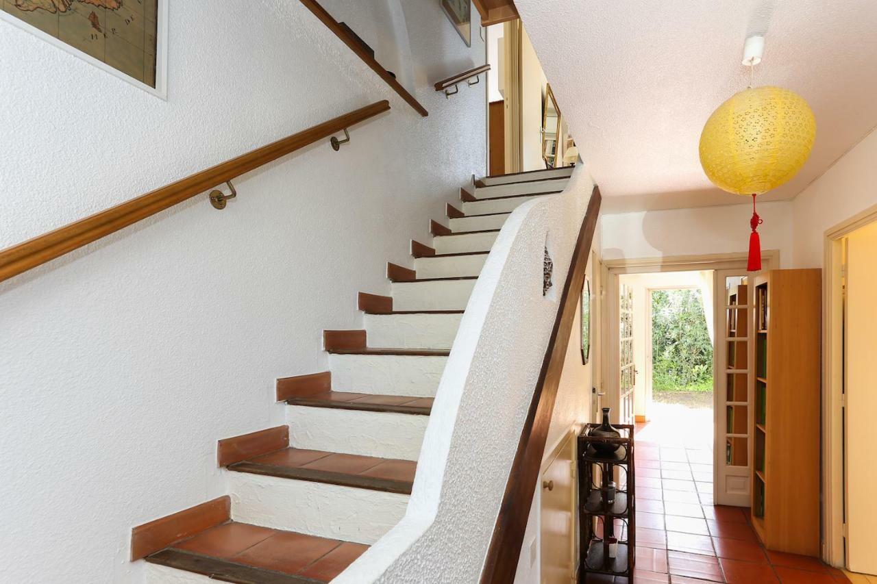 Suquette Charming Provencal House In Antibes With Nice Terrace, Garden And Pool Access מראה חיצוני תמונה